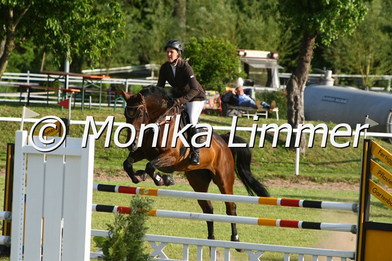 204M2018_Violet_Stil Axx.JPG